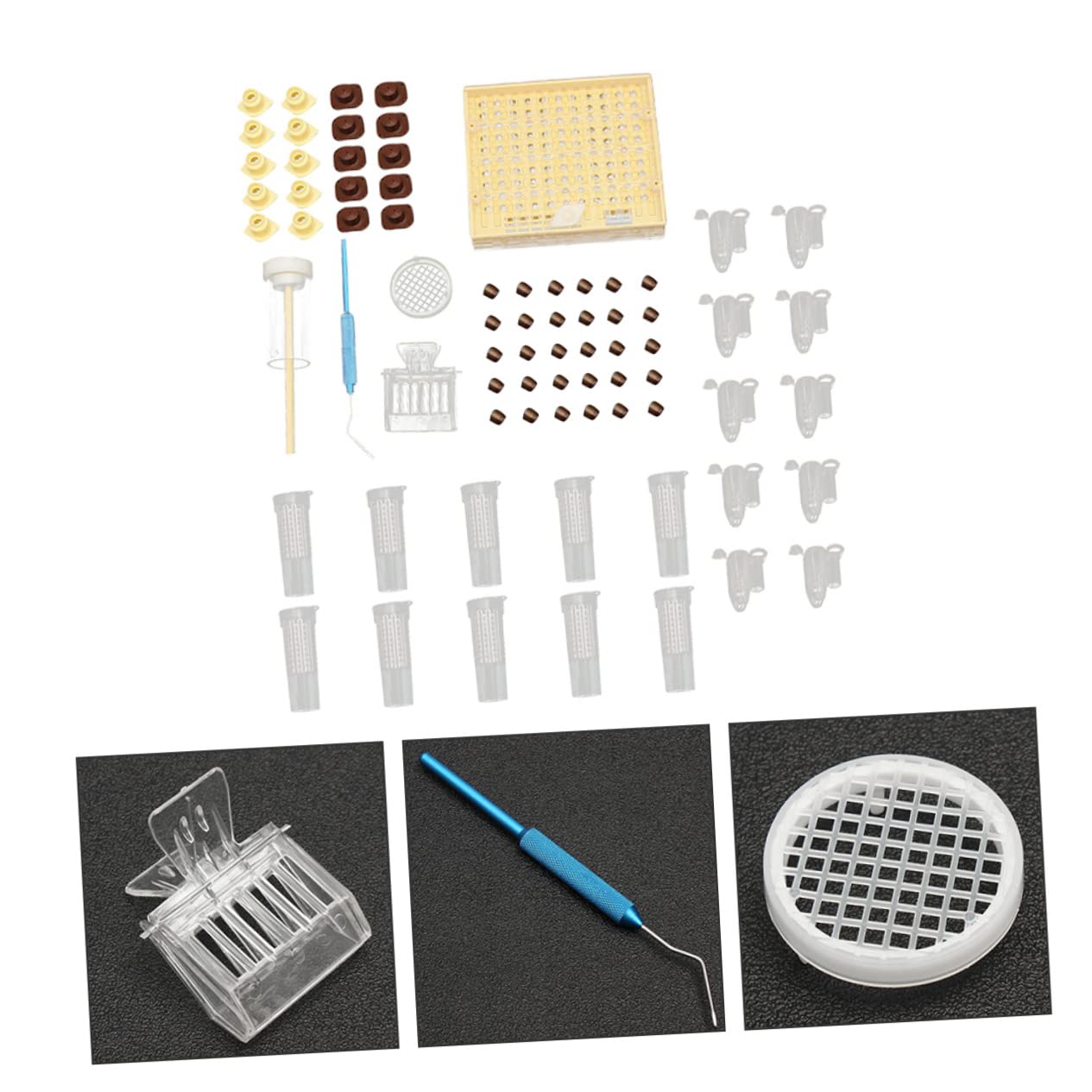 Set di Allevamento in Abs Leggero, Facile da Usare | Apicoltura, Accessorio per Api, Soluzione Pratica per Cura Dell’alveare Colore Casuale