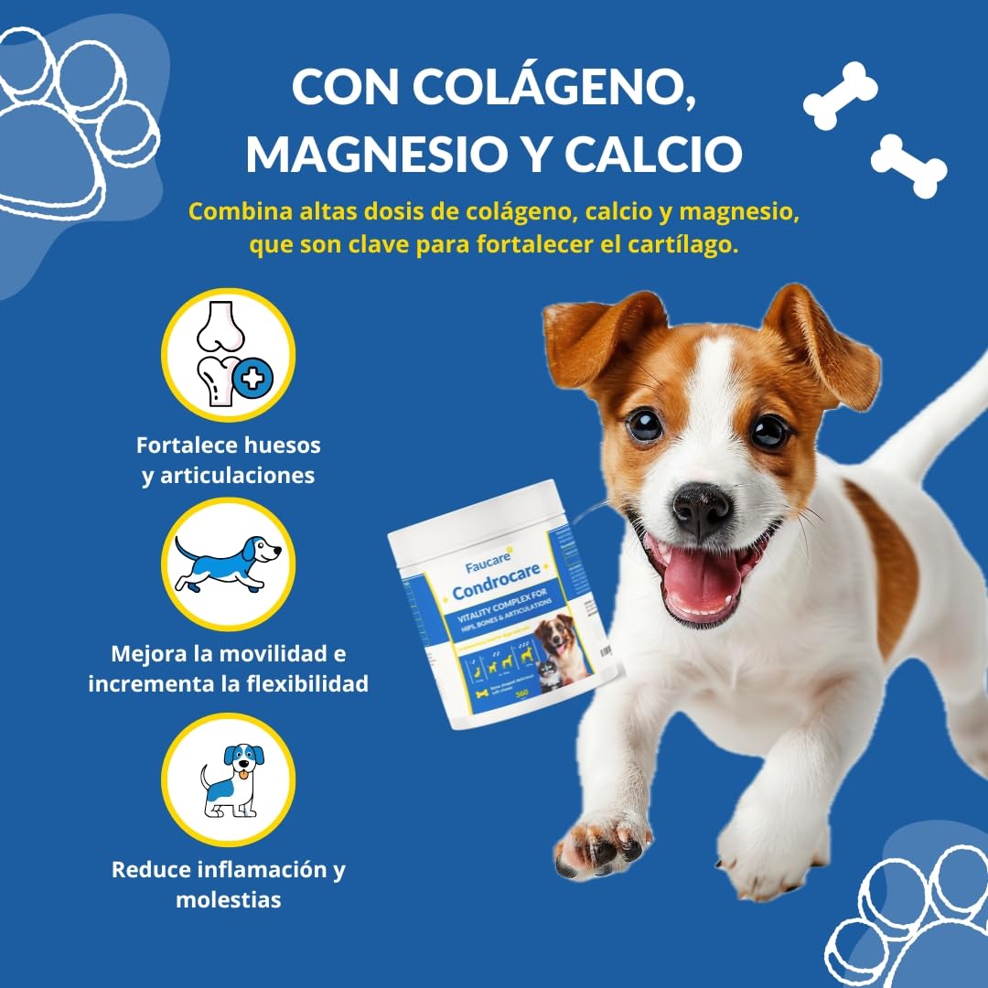 Condroprotector Perros 360 Uds (1 Año) Colágeno Magnesio y Calcio, Mantenimiento Articular, Glucosamina, Condroitina, Cúrcuma, Vitality Complex para Movilidad, Huesos. Faucare