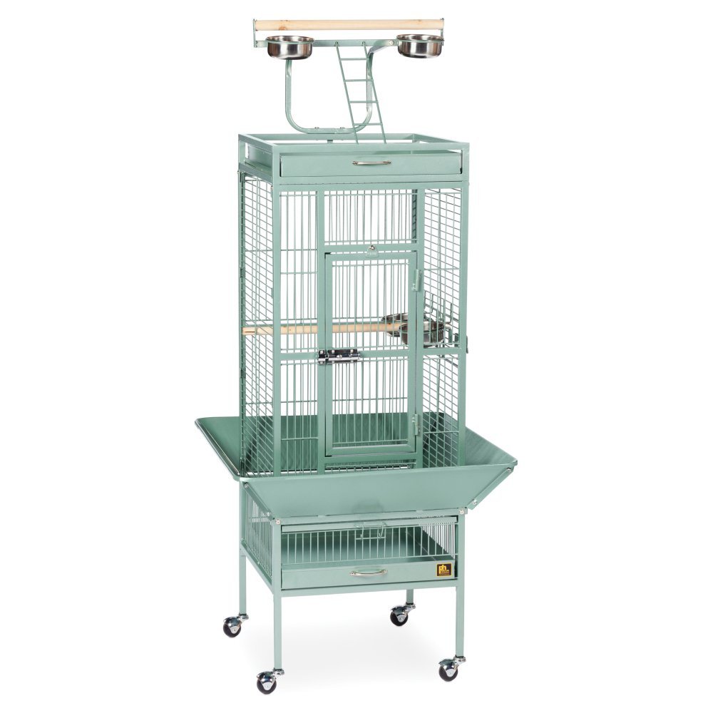 Prevue Pet Products Wrought Iron Select Bird Cage - L, Sage Green