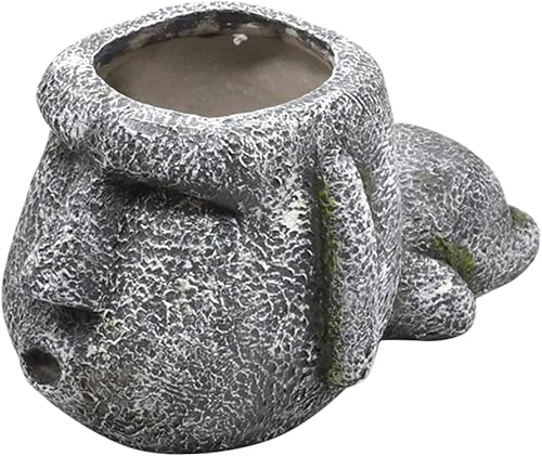 NOLITOY Maceta de gárgola para bonsái, macetas pequeñas para suculentas, maceta decorativa, maceta decorativa para flores, decoración de plantas,