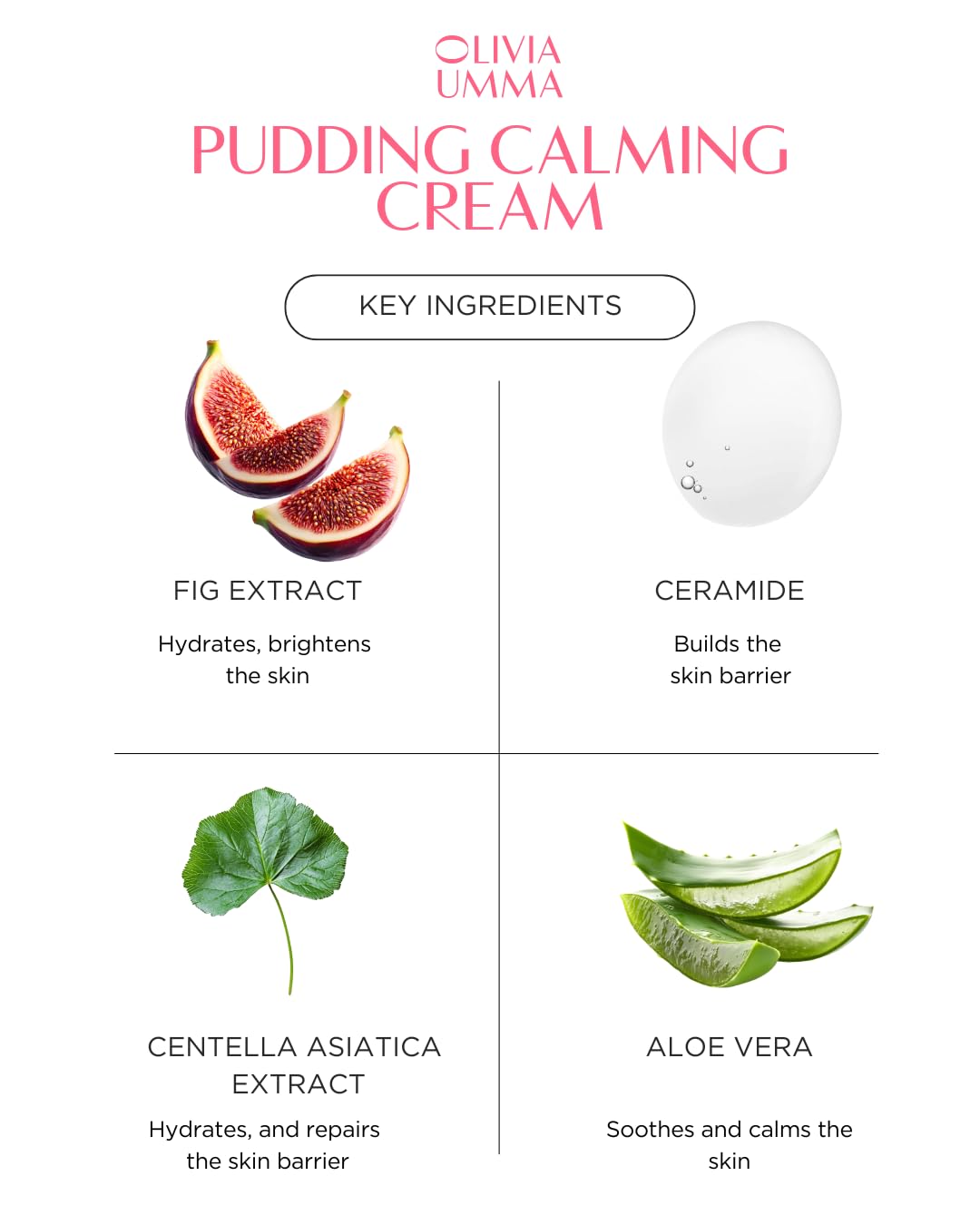 OLIVIAUMMA Glass Skin Tanghulu Fig Pudding Calming Cream - Korean Face Moisturizer for Dry Skin - Ceramide + Aloe Vera - Lightweight Pudding Texture - Deep Hydration & Moisture Barrier Support - 50g - Image 2