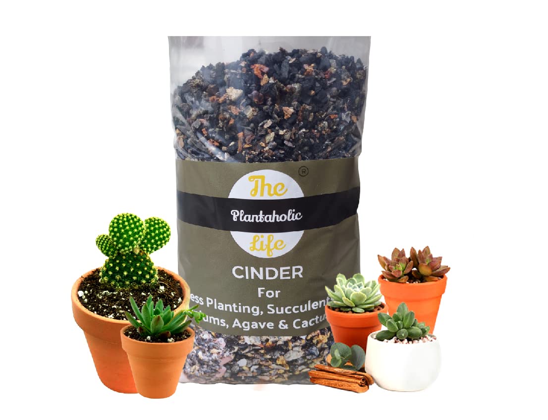 THE PLANTAHOLIC LIFE® (6KG) Pure & Washed Cinder For Plants No Fertilizers Added (100% Soilless Planting For Succulents,Orchid,Agave,Bonsai,Roses,Adenium,Cactus And All Desert Plants) (B09DQ68ZLP) Amazon Price History, Amazon Price Tracker