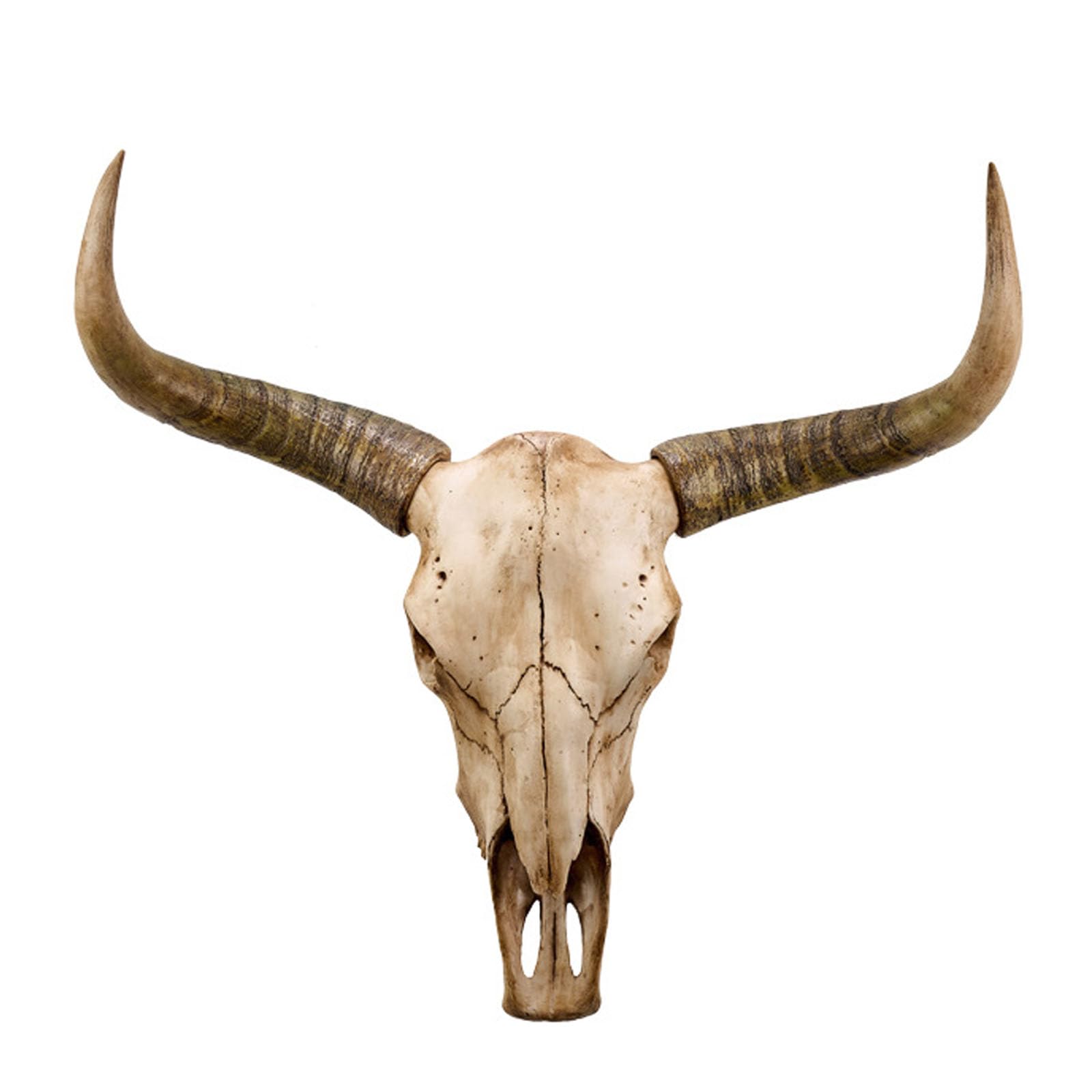 Cow Skull Wall Decor, Long Horn Cow Skull Wall Hanging Decor,Wall Hanging Faux Longhorn Skull,Faux Taxidermy Animal Head Handmade Wall Decor Home Sculpture,Faux Bull(Size:64x68cm,Color:B-Brown)
