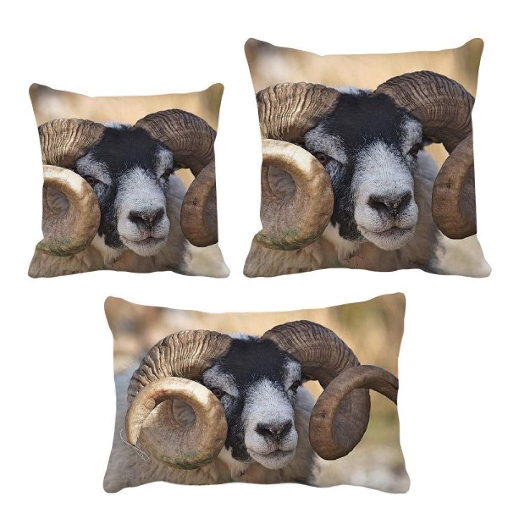 Housse de coussin animal sauvage pour une décoration de salon conviviale
