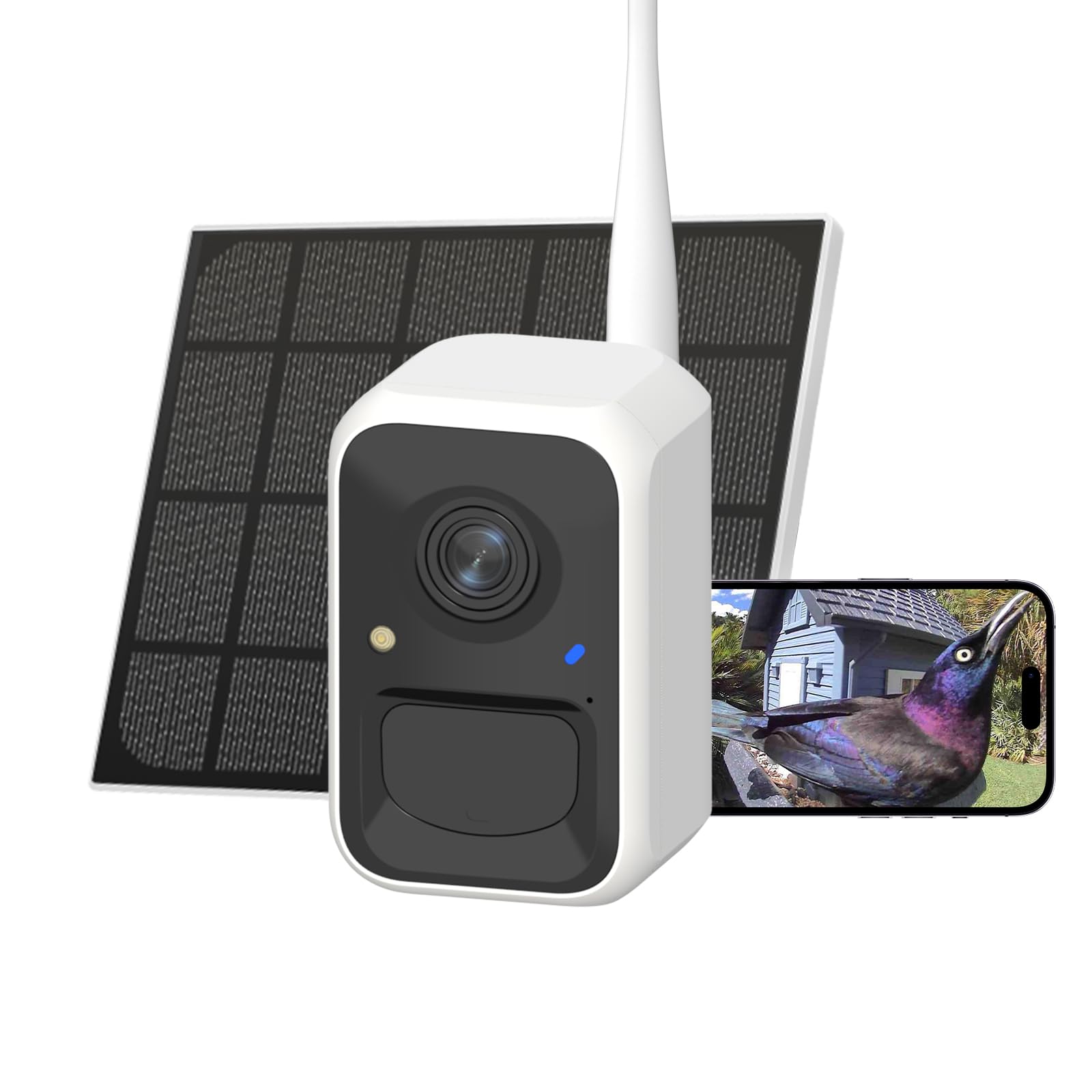 Birdfy Cámara Comedero para Pájaros Inteligente – Versión Mejorada, energía Solar, Captura automática de vídeo, notificaciones instantáneas, IA identifica 6000+ Especies, 1080P cámara para Aves