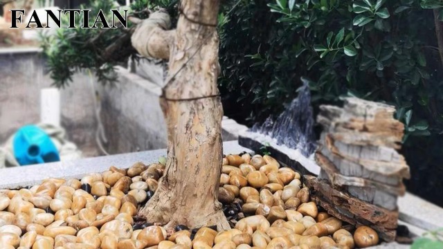 18 Pounds Of Jade Green River Pebbles - Small Decorative Gravel For Succulents & Planters