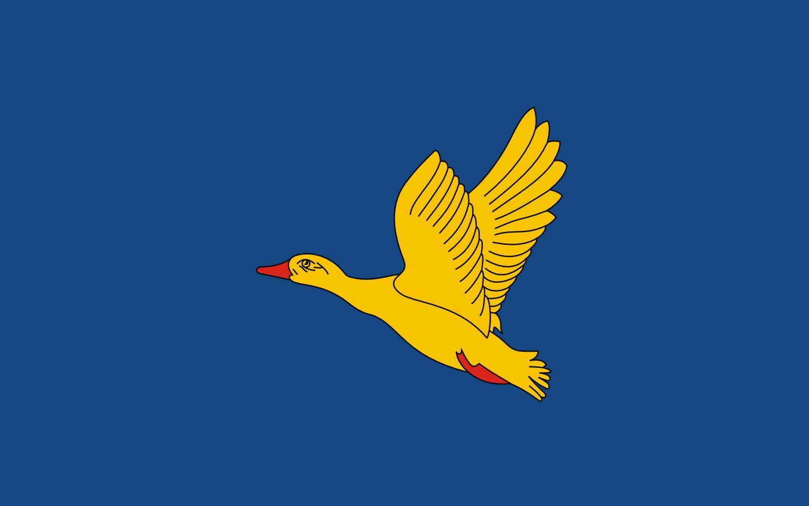 Drapeau POL Cielmice anti-déchirure pour vents forts de Tychów