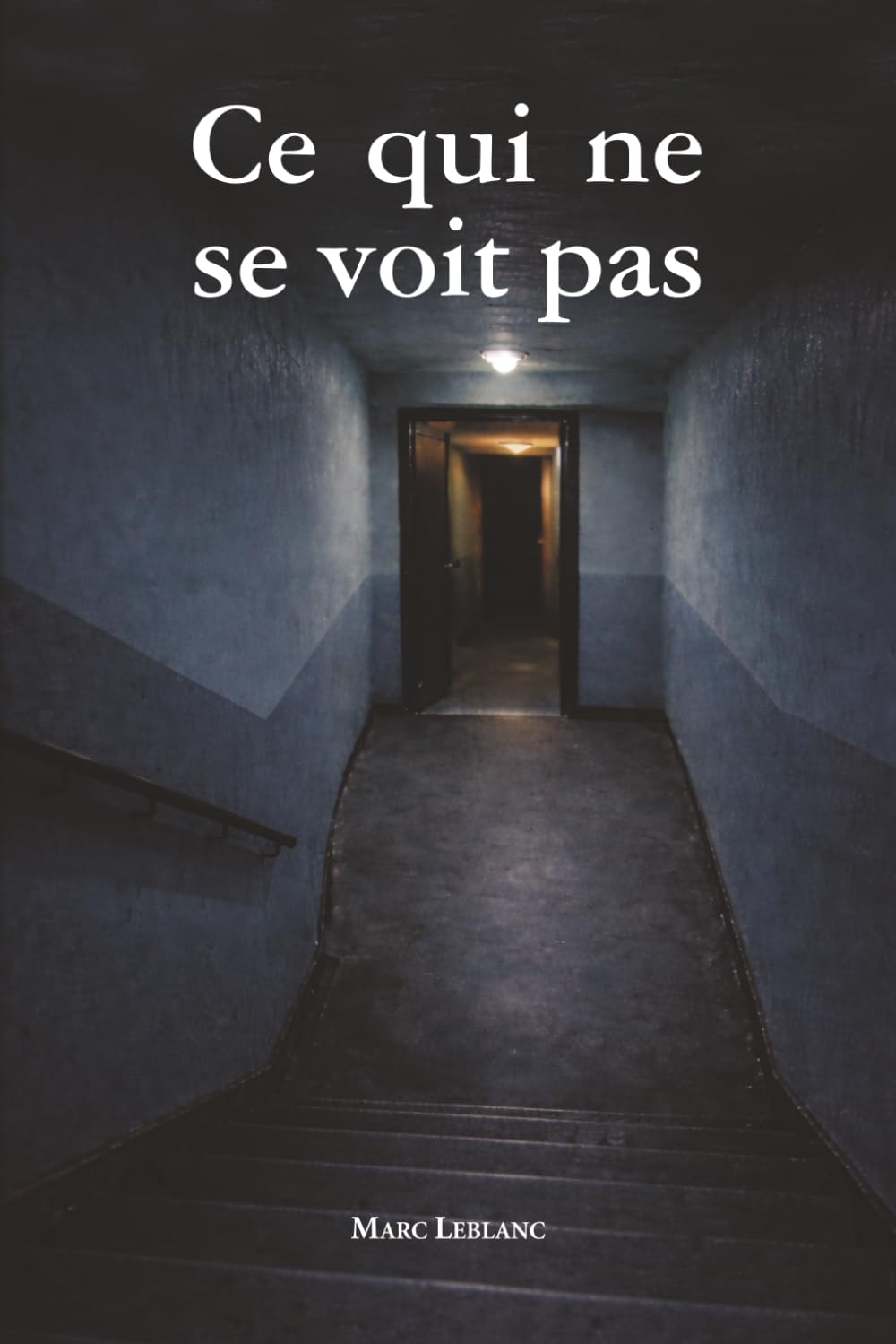 Ce qui ne se voit pas