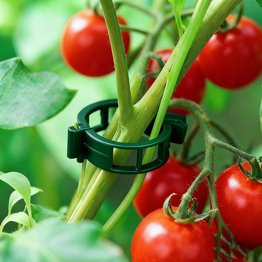 Generisch Pflanzenclips Orchideen Klammern, 2026 Neu Pflanzenclips Kletterhilfe Pflanzen, Tomatenclips Verbinden, Secured Plastic Plant Clips Unsichtbare für Pflanzen Sicherung (150, Grün)