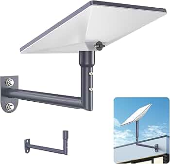 61uXrWLabLL._AC_UF350,