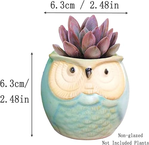 Miniatura 9 de pequeñas macetas de 2.5" (6.35 cm) en forma de buho, de cerámica con orificio en la parte inferior, para bonsáis y plantas suculentas - 6 unidades