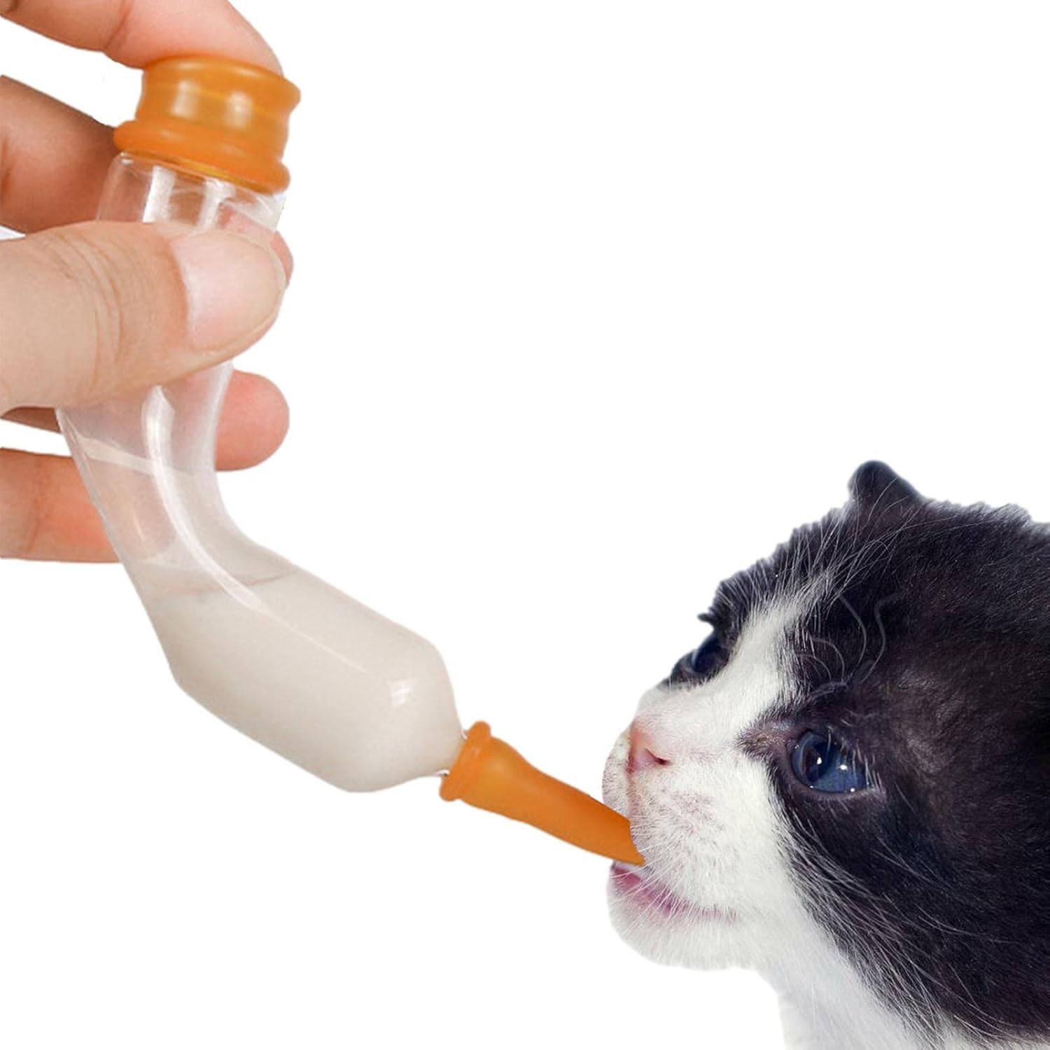 Pet Feeding Syringes, Pet Feeding Tool With , Newborn Small Animals