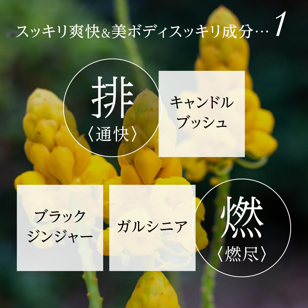 Amazon | デルバラスリムビューティ粒 180粒 ダイエット茶 粒タイプ