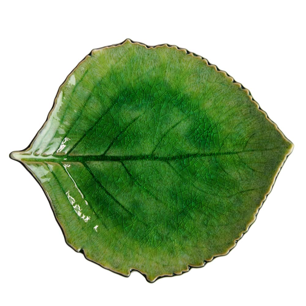 Amazon.co.jp: コスタノバ (COSTA NOVA) リヴィエラ RIVIERA