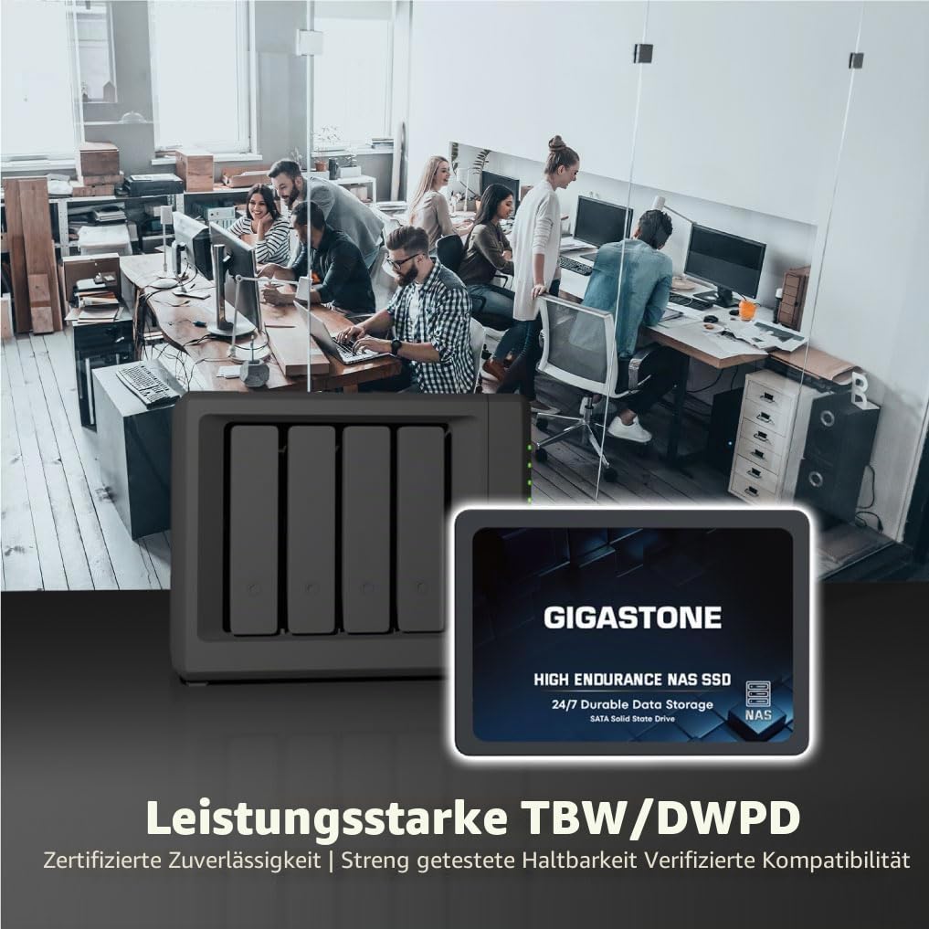 Gigastone NAS Zertifiziert 512GB SSD Festplatte (2er-Pack) TLC Hohe Dauerhaltbarkeit SSD für 24/7 Dauerbetrieb NAS-Systeme RAID 2,5 Zoll SATA III Internes Festkörper-Laufwerk SSD Caching