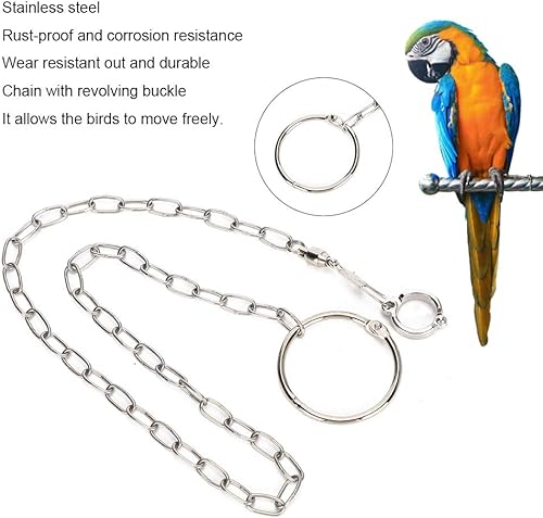 Parrot Foot Chain Bird Leg Leash Stainless Steel Split Anklet Ring for Small Birds Parrots Pet Training