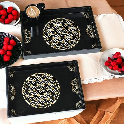 Miniatura 8 de Crocon Bandejas de madera con asas, juego de 2 bandejas rectangulares negras, bandejas otomanas grandes para mesa de café, sala de estar y