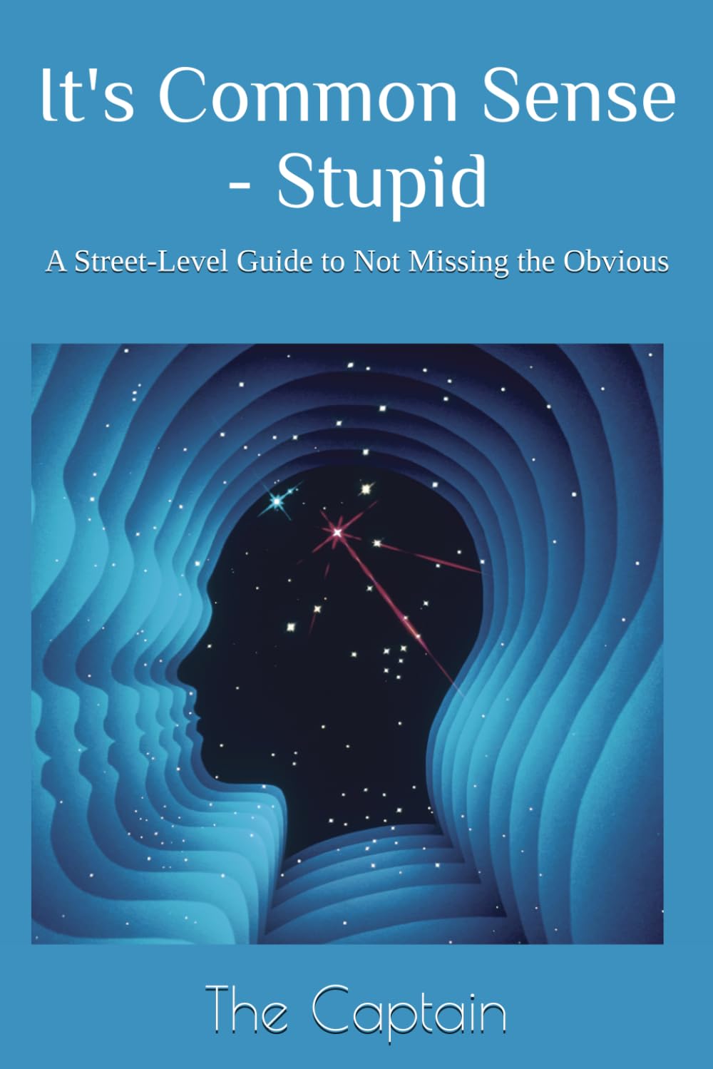 It's Common Sense - Stupid: A Street-Level Guide to Not Missing the Obvious