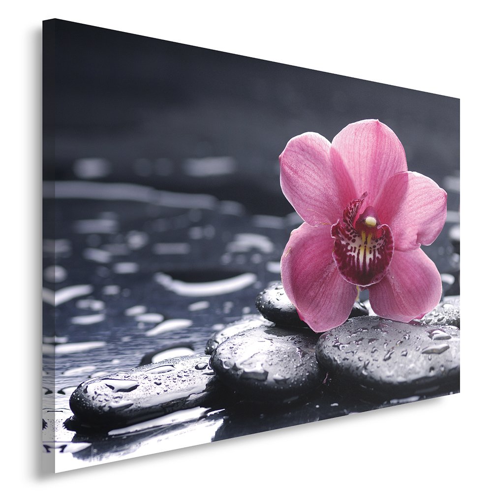 Feeby Frames, Quadro pannelli, Pannello singolo, Quadro su tela, Stampa artistica, Canvas 50x70 cm, COMPOSIZIONE, ZEN, ORCHIDEA, ACQUA, CIOTTOLI, VIOLET, SPA