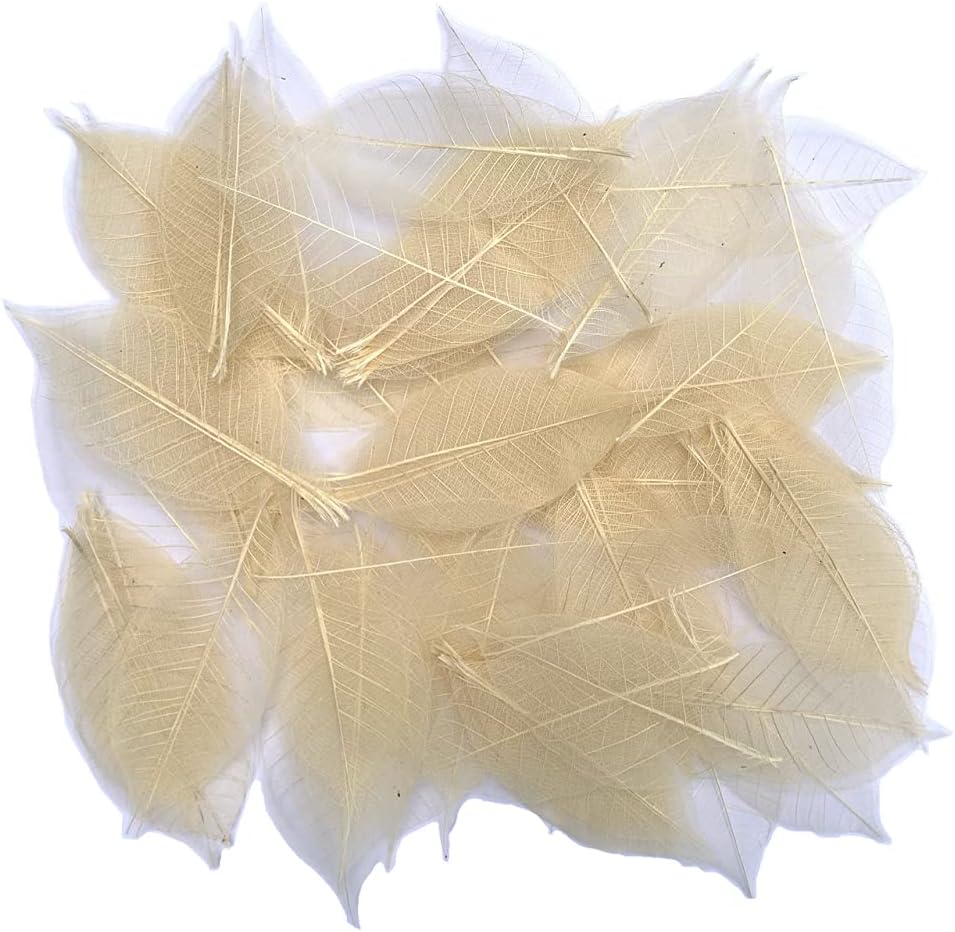 Wadsuwan Shop Mulberry Paper Flowers 100 Nature Brown Color, No Paint. Skeleton Leaves Rubber Tree Natural Scrapbooking Craft Diy Card Wedding.