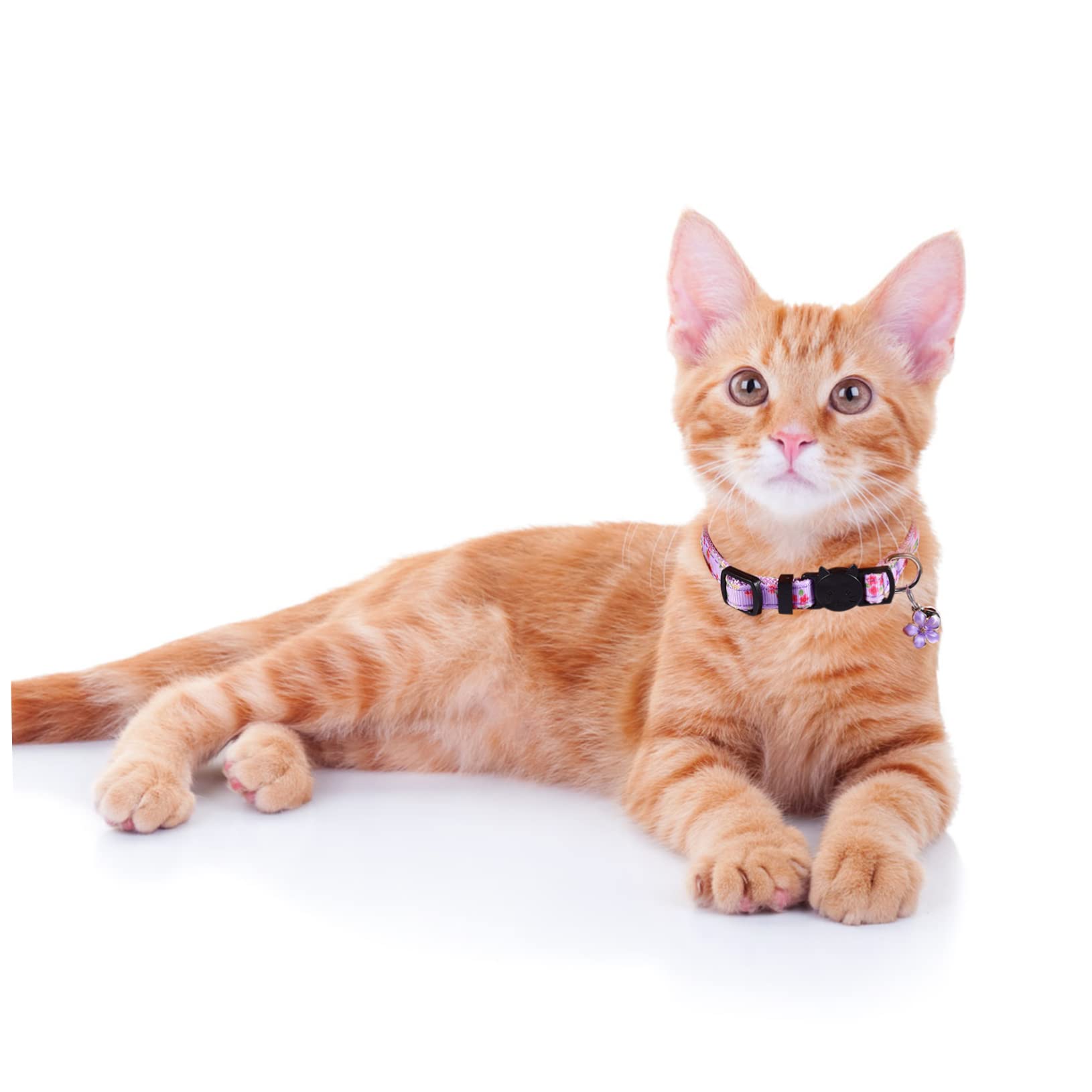 Didiseaon 12pezzi Collare Per Gatti Decorato Con Fiori Da Vari Comodo e Sicuro Per Gattini Accessorio Elegante Per Animali Domestici