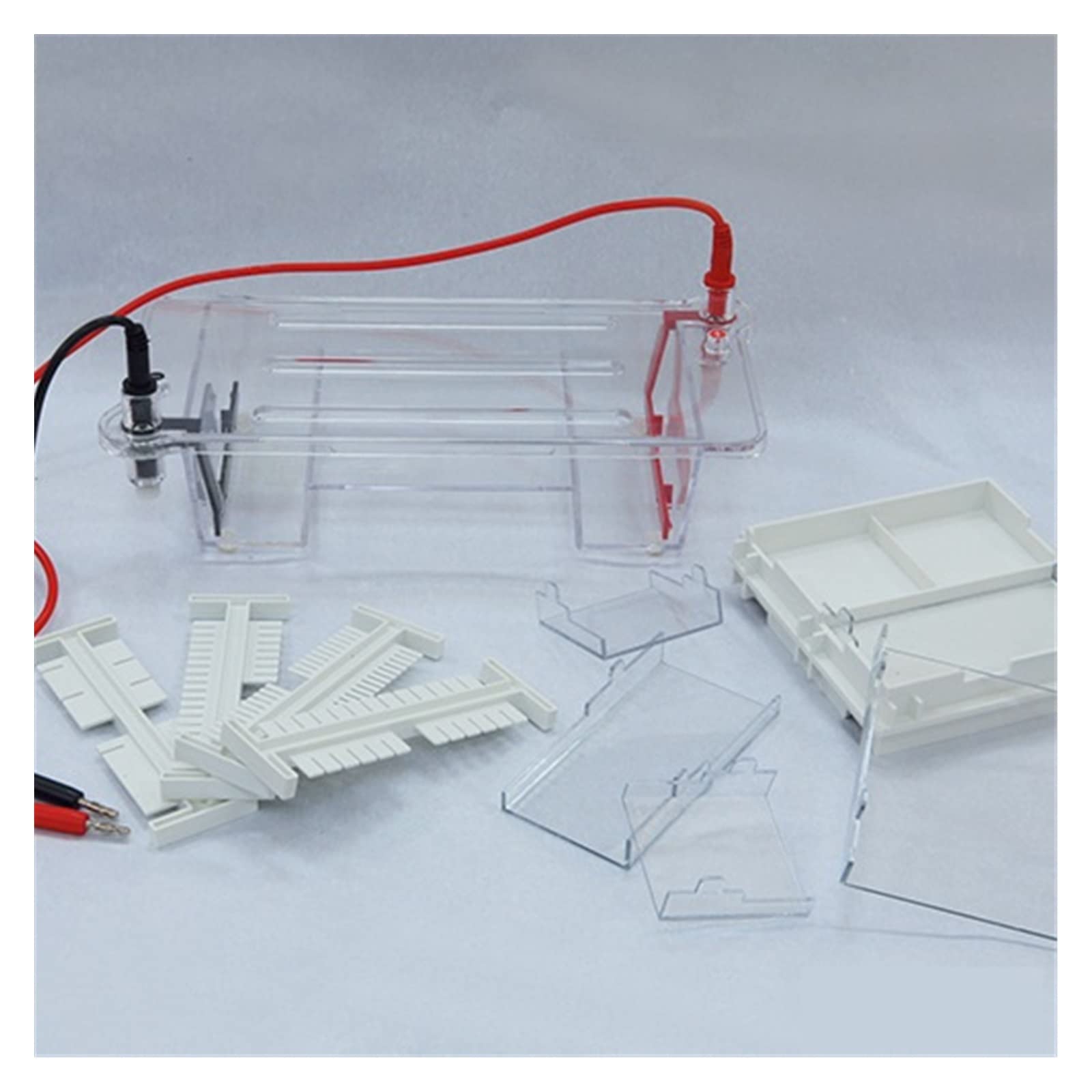 Gelelektrophoresesystem, Elektrophoresegerät, DYCP-31BN Typ Agarose-Level-Elektrophorese-Instrument Kleiner Elektrophorese-Tank-Spot für Klassenzimmer und kleine Labore