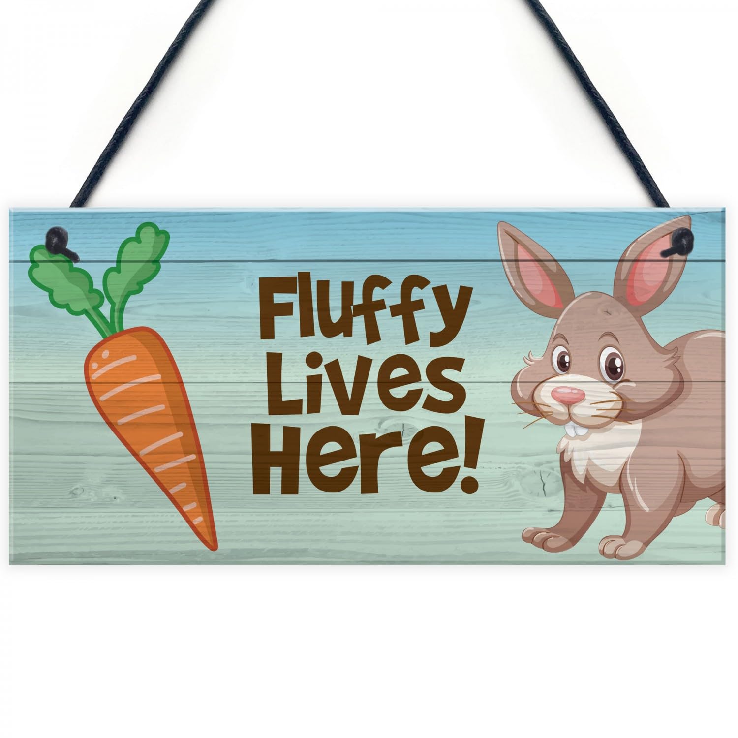 Signs Plaques Personalised Pet Rabbit Sign Hutch Accessories Animal Lover Gift House Decor