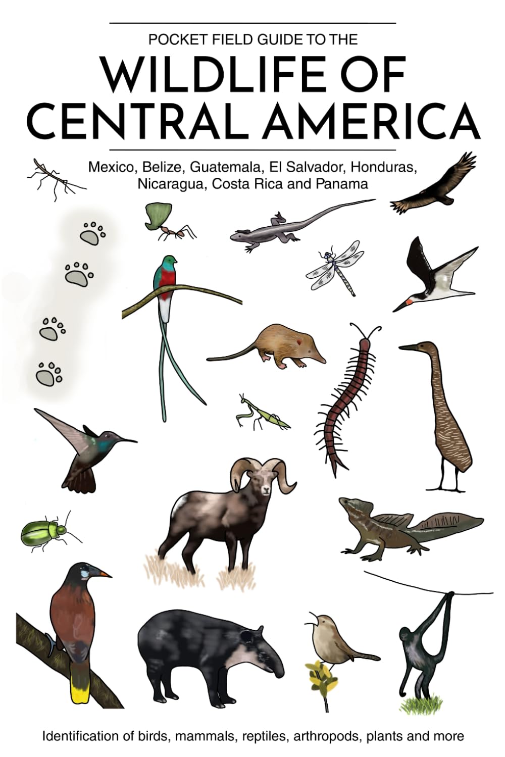 Pocket Field Guide to the Wildlife of Central America (Mexico, Belize, Guatemala, El Salvador, Honduras, Nicaragua, Costa Rica and Panama): ... plants and more (Ecotourism Guides)