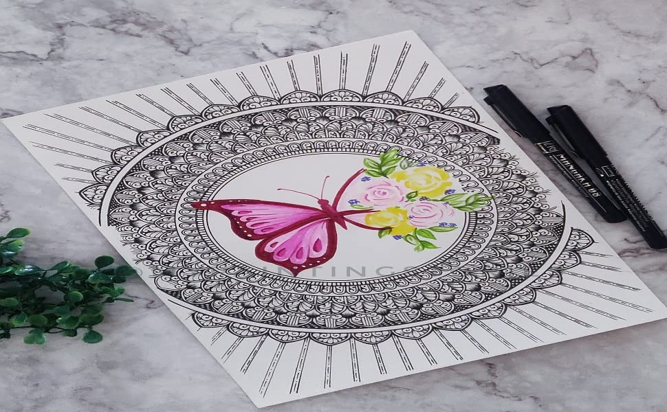 ZIG Special Illustration Set [GANSAI TAMBI Pan No.91] Micron Pen