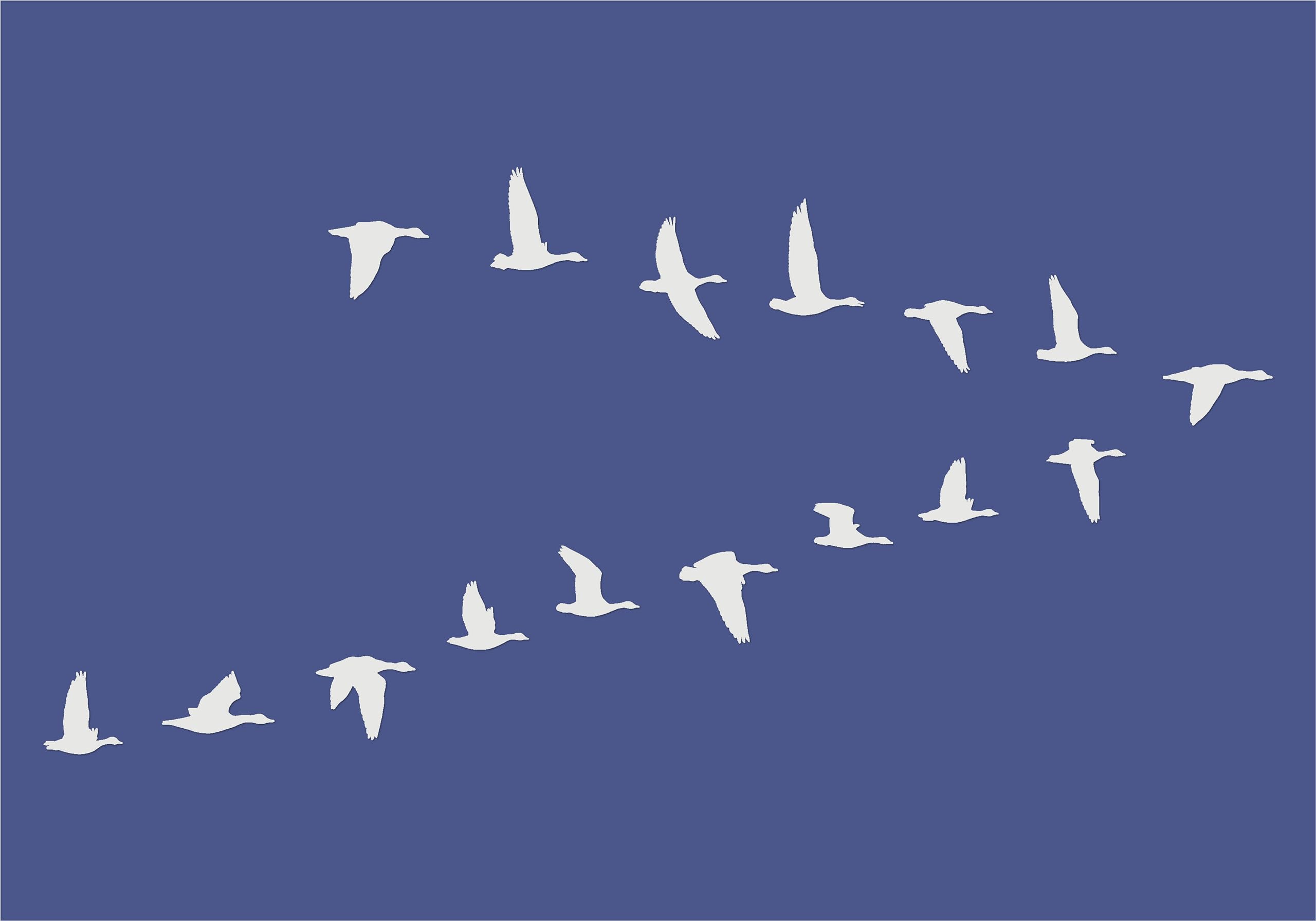 Bird Stencils Series1, Large Format Wall Art Painting Stencil, Reusable Plastic Decoration Template (Birds-11, XL)