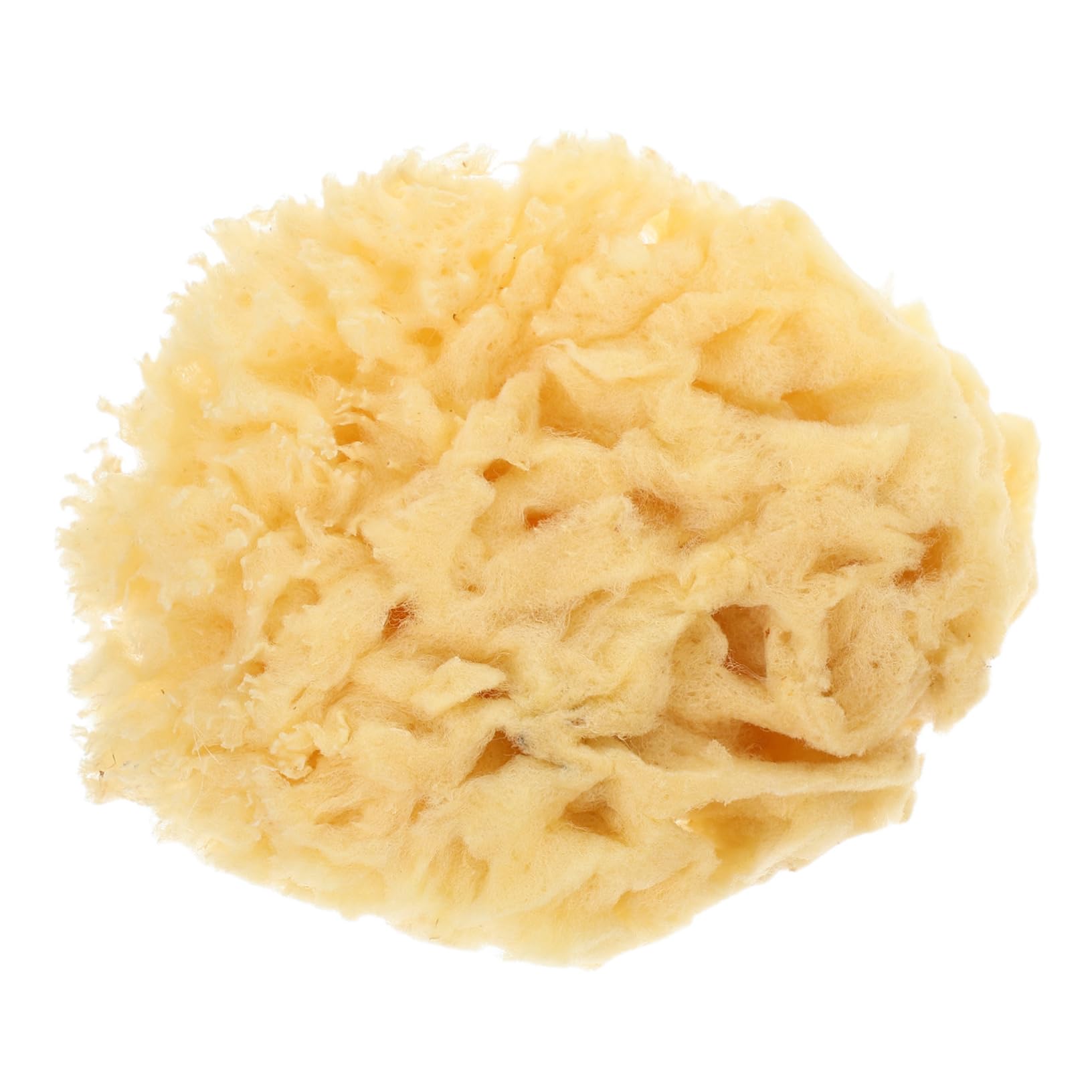 OSALADI Natural Sponge Tool for Watercolor Painting Shower Body Scrubber Soft Multi-use Art Supply