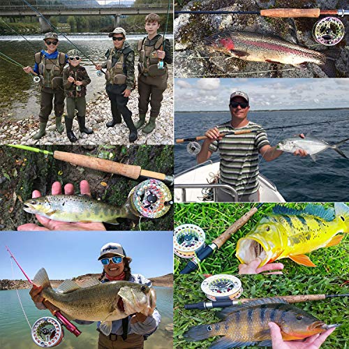 MAXIMUMCATCH ECO Serie Fliegenrolle großer Spulenkern mit Druckguss-Aluminum-Körper Fliegenfischen Rolle in 3/4wt 5/6wt… – Bild 7