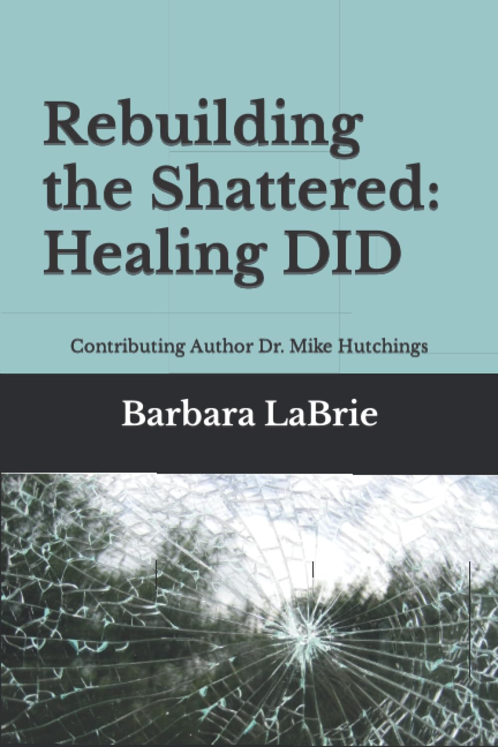 Rebuilding the Shattered Healing DID: Contributing Author Dr. Mike Hutchings