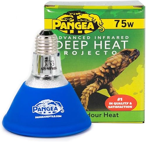 Pangea Proyector de calor profundo para reptiles 75 W
