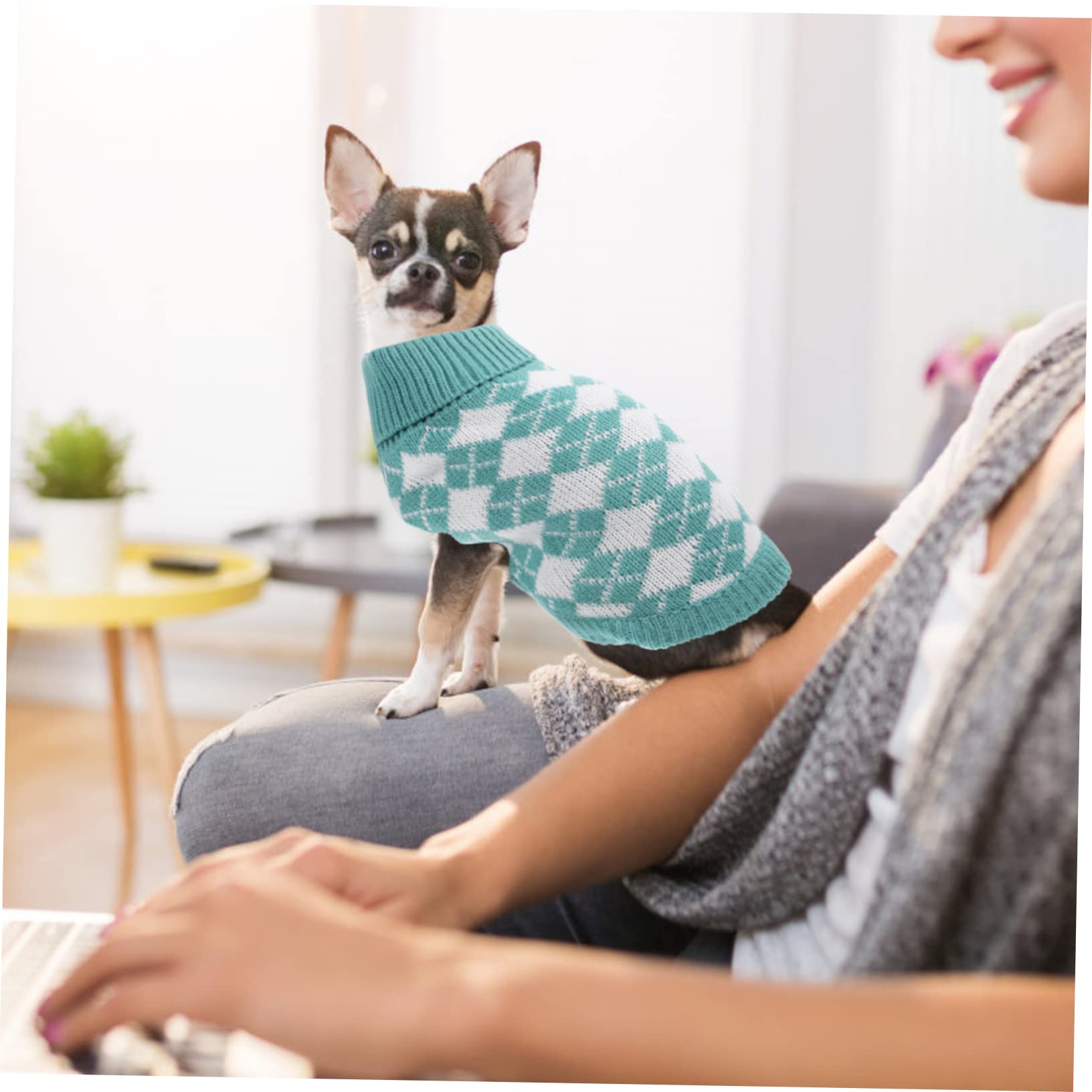 BESPORTBLE 5pièces Pull pour Chien Vêtement Chaud Hiver Motif Écossais Costume pour Petits Et Chiens