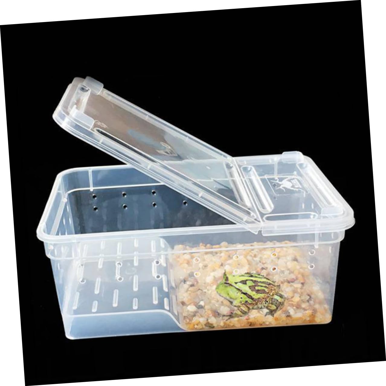 Lurrose Acquario con Piattaforma Galleggiante in Plastica Area Riposo e Alimentazione Facile Osservazione per Tartarughe Inclinazione Adatta per Rettili e Anfibi