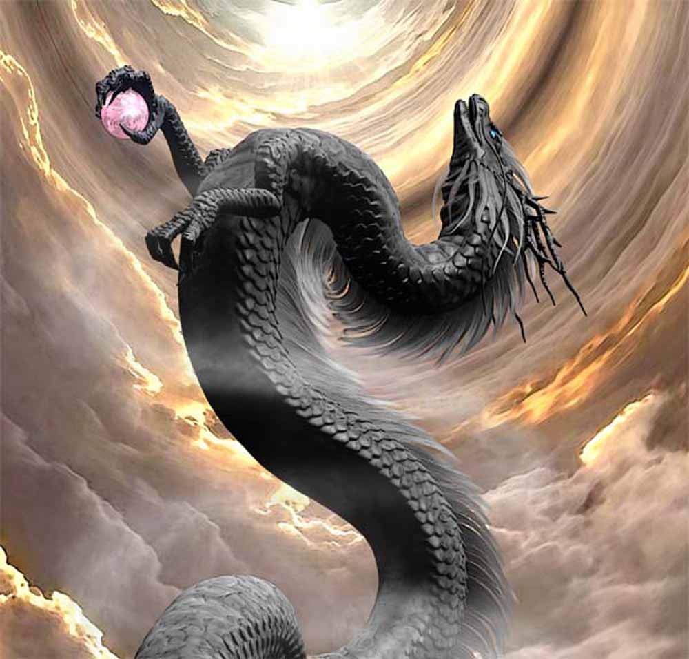 Amazon.co.jp: 龍の絵 「昇龍1、黒龍」A4 竜の絵 : ホーム＆キッチン