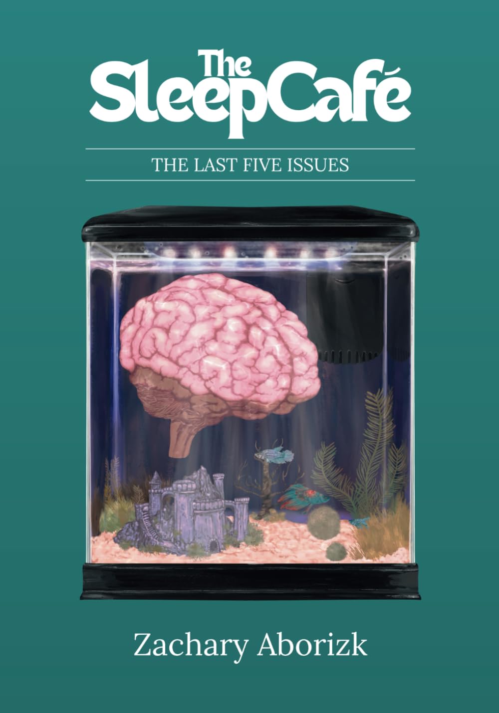 The Sleep Café: A Novel