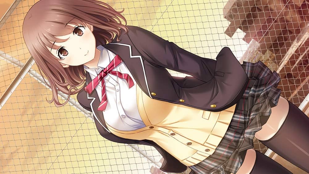フルキス 満開版 - PS4 (タペストリー、設定資料集、オリジナルサウンドトラック、特製ミニ色紙、ビジュアライズカード 同梱) 61uYrhbtBsL._UF1000,1000_QL80_.jpg