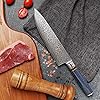 Chef-Knife-8-Inch-Damascus-Chefs-Knife-Japanese-VG10-Kitchen-Knife-Sharpest-67-Layer-High-Carbon-Stainless-Steel-knife-Cooking-Knife-Meat-Cutting-Gyuto-Chef-Knife-with-Sheathtype-1 Chef Knife 8 Inch Damascus Chefs Knife Japanese VG10 Kitchen Knife Sharpest 67-Layer High Carbon Stainless Steel knife Cooking Knife, Meat Cutting Gyuto Chef Knife with Sheath(type 1)