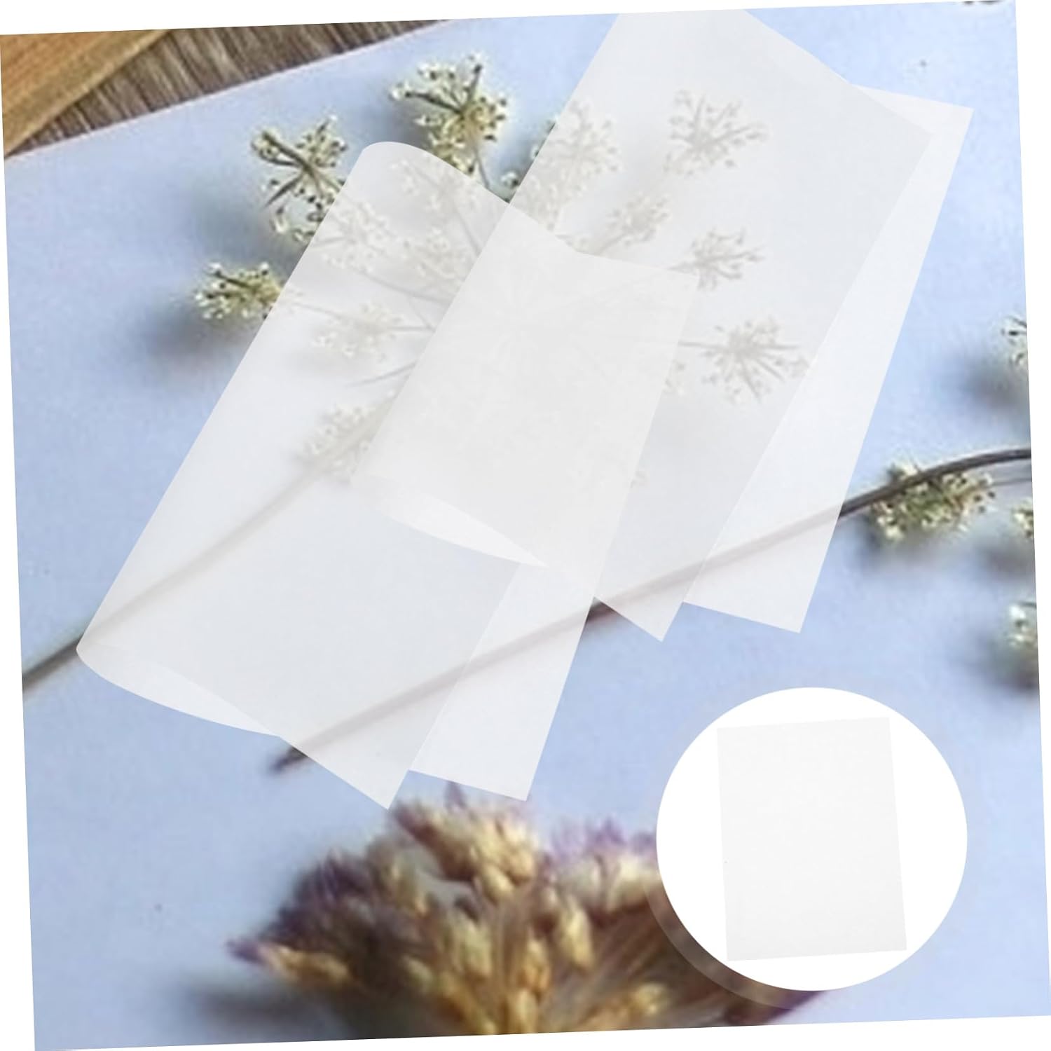 Gogogmee 30pcs Reusable Flower Pressing Paper Embossed Backing Specimen Pressing Paper