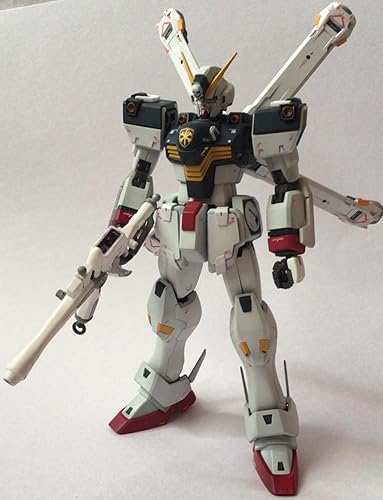 MG 1/100 XM-X1 クロスボーンガンダムX-1 Ver.Ka
