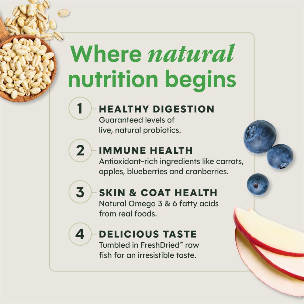 Instinct Be Natural - Alimento seco para perros con pollo y arroz integral, bolsa de 25 libras