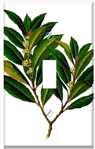 Interruptor de la placa sola palanca - Rama de la bahía comestible de la comida de Evergreen a base de hierbas