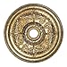 Livex Lighting 8210-65 Ceiling Medallion, Hand Painted Vintage Gold Leaf