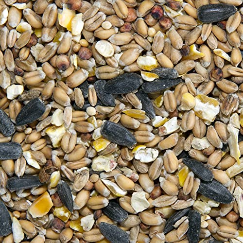 Bamfords 20kg SACK OF WILD BIRD FOOD SEED MIX – BIRD FOOD – Wildlife News Shop - Vimarsana News