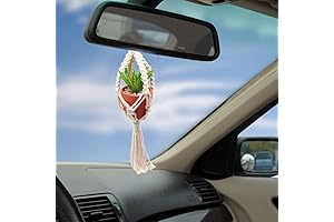 17” Car Succulent Hanger for Rear View Mirror