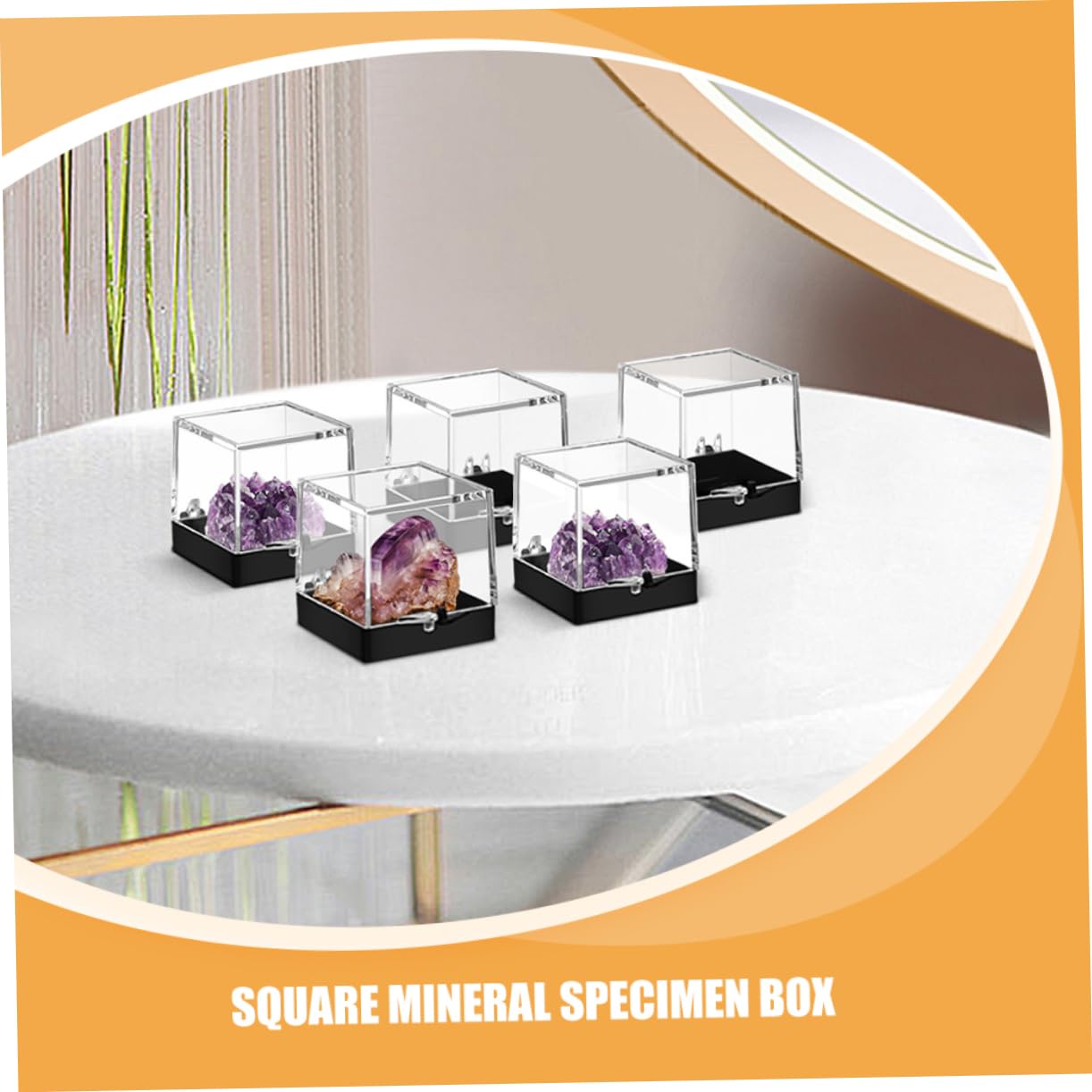 Cabilock 10pcs Mini Plastic Specimen Storage Case Crystal Rock Collection Display Box Lid for Carry
