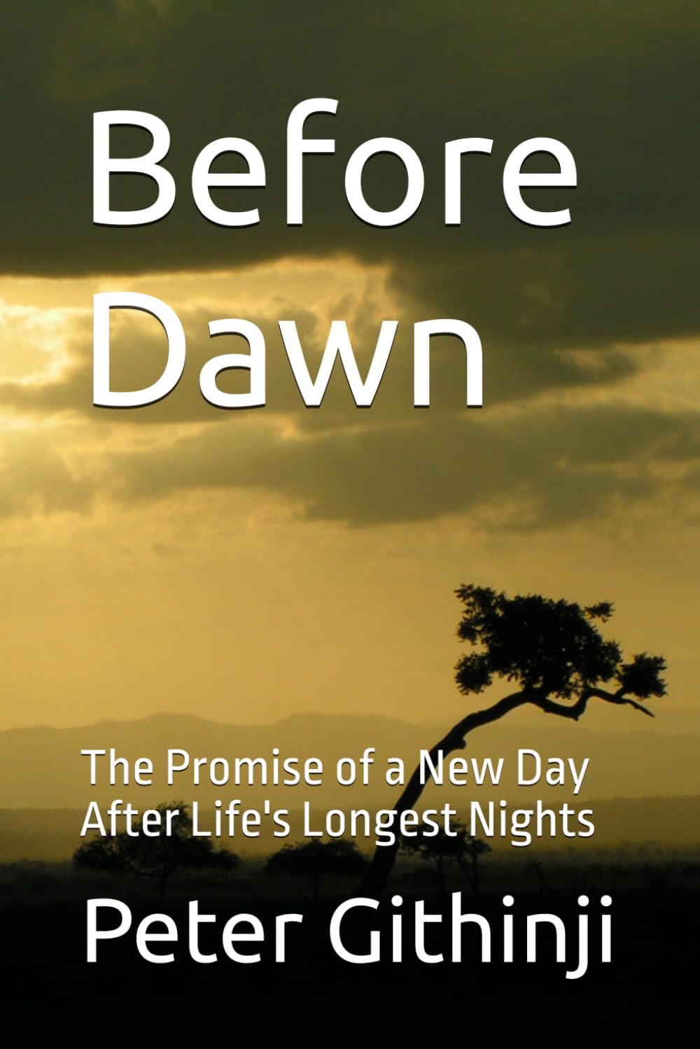 Before Dawn: The Promise of a New Day After Life's Longest Nights