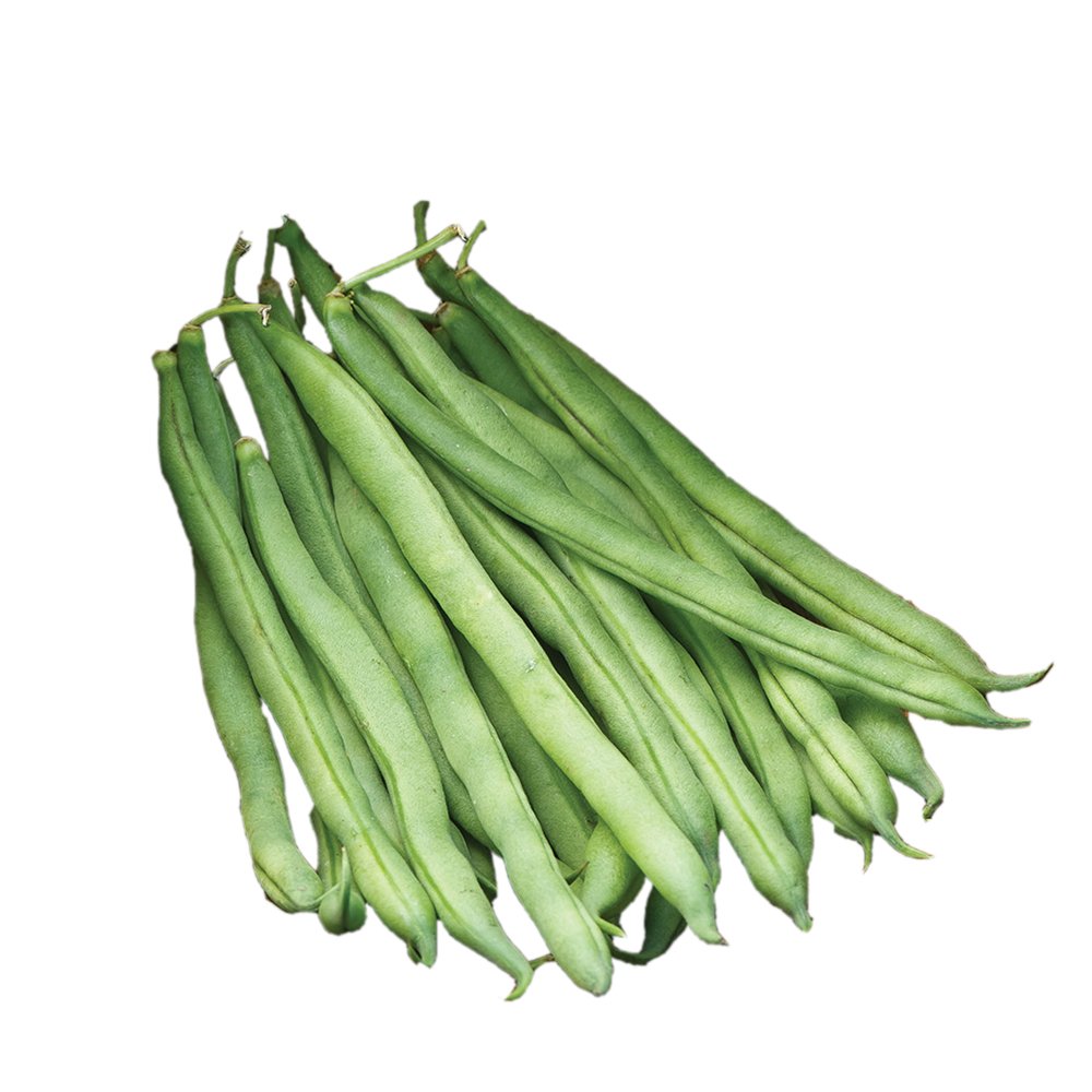Burpee Big Kahuna Bush Bean Seeds